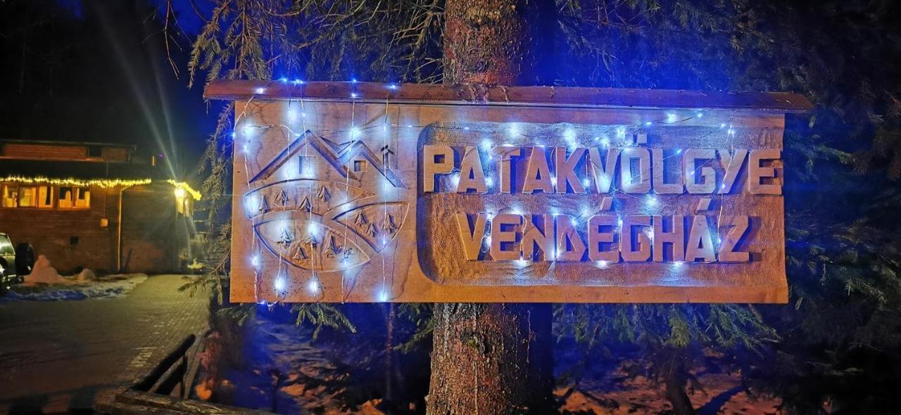 Patakvoelgye Vendeghaz Βίλα Izvoare  Εξωτερικό φωτογραφία