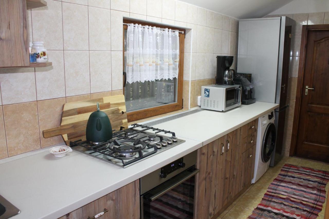 Patakvoelgye Vendeghaz Βίλα Izvoare  Εξωτερικό φωτογραφία
